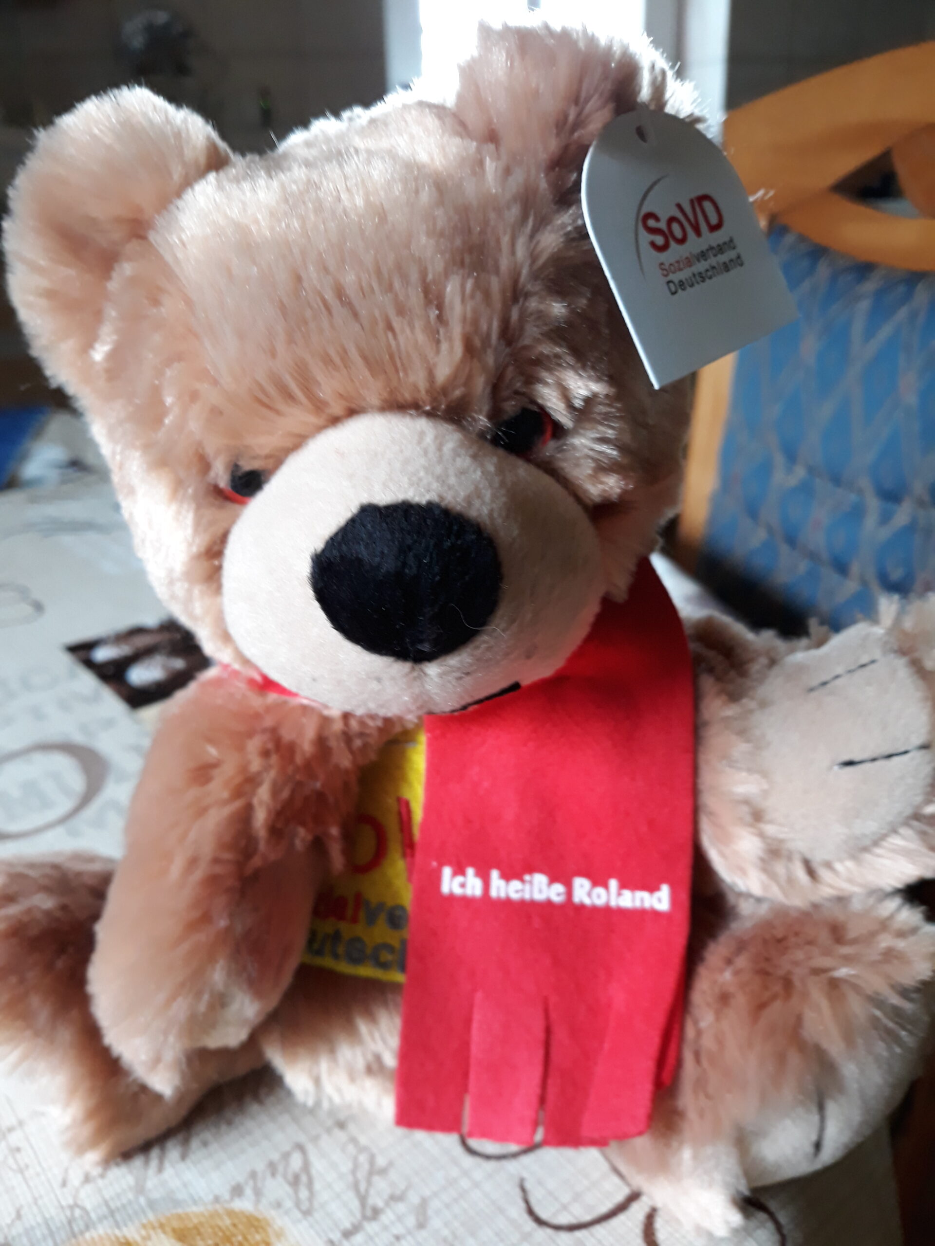Handpuppe/Teddy für unsere Einschulungskinder